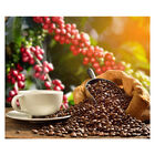 Papel De Parede Café Cafeteria Xícara Grãos Sala Adesivo - 20