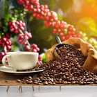 Papel De Parede Café Cafeteria Xícara Grãos Sala Adesivo - 20