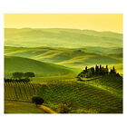 Papel De Parede Campo Paisagem Natureza Sala Adesivo - 136pcm