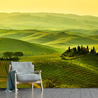 Papel De Parede Campo Paisagem Natureza Sala Adesivo - 136pcm