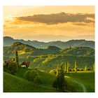 Papel De Parede Campo Paisagem Natureza Sala Painel - 135pcp