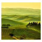 Papel De Parede Campo Paisagem Natureza Sala Painel - 136pcp