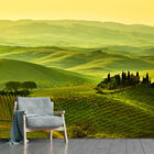 Papel De Parede Campo Paisagem Natureza Sala Painel - 136pcp