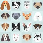 Papel De Parede Catioros - 0 50 X 3 00 Metros