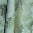 Papel De Parede Decore Monte Verde - Floral