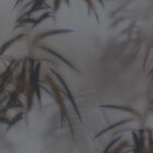 Papel De Parede Dimensions 219545 - Rolo: 10m X 0,53m