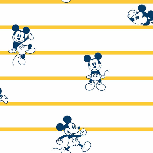 Papel De Parede Disney Mickey Listrado Di0931 A - Rolo Fechad