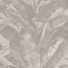 Papel De Parede Edantex Unique - Folhagem Bege Un-5010