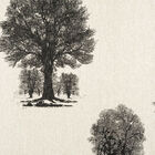 Papel De Parede Enchantment 121805