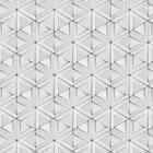 Papel De Parede Estampa 3d Pp3d047