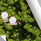 Papel De Parede Estilo Jardim Floral 3d Decorativo 3m