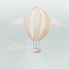 Papel De Parede Evolux Innocence Vinilico 10mx53 Cm Balões Ve