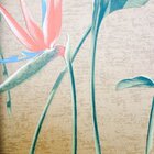 Papel De Parede Feature Wall 970106 Estrelícia - Rolo: 10m X