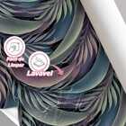 Papel De Parede Flora Rendada Com Palmeira Colorida 6m