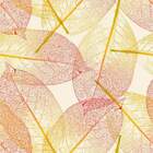 Papel De Parede - Floral Mod 021 - 60x300cm