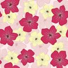 Papel De Parede Flores Daisy  - 0 50 X 3 00 Metros