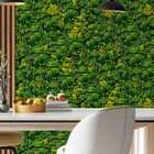 Papel De Parede Floresta Tropical Realista Auto Colante 12m