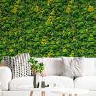 Papel De Parede Floresta Tropical Realista Lavável 10m