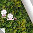 Papel De Parede Floresta Tropical Realista Lavável 10m