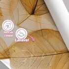 Papel De Parede Folha Dólar Marrom Claro Adesivo Lavável 12m