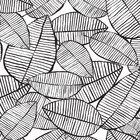 Papel De Parede Folhagem Preto E Branco 57x270cm