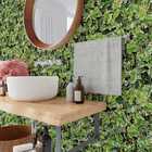 Papel De Parede Folhagem Tipo Ficus Variegata Jardim 3m