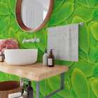 Papel De Parede Folhagem Verde Tipo Folha De Manga 12m