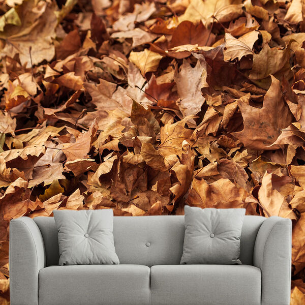 Papel De Parede Folhas Outono Folha Seca Sala Painel - 301pcp