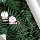 Papel De Parede Folhas Samambaia Jardim Auto Colante 3m