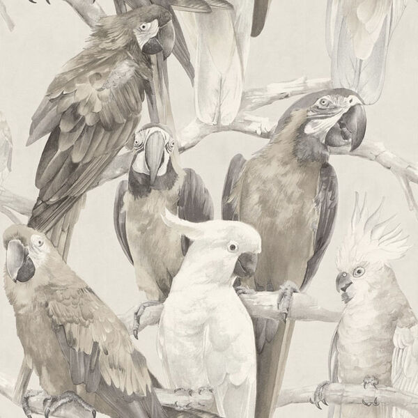 Papel De Parede Freundin Home Collection 803105 - Rolo: 10m X