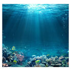 Papel De Parede Fundo Do Mar Natureza Peixes Sala Painel - 13