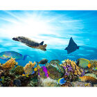 Papel De Parede Fundo Do Mar Tartaruga Peixes Sala Adesivo -