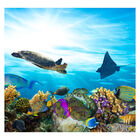 Papel De Parede Fundo Do Mar Tartaruga Peixes Sala Painel - 1