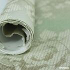 Papel De Parede Importado Verde Com Textura