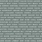 Papel De Parede Importado Verde Estampa de Letras Escrita 4m²