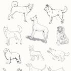 Papel De Parede Infantil Animal Ppani015