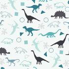 Papel De Parede Infantil Dinossauro N4104 - 10m