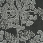 Papel De Parede Italiano Naturae 304-44 Vinílico - Rolo: 10m