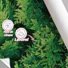 Papel De Parede Jadim Natural 3d Viníl Tuia Hilandesa 3m