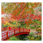 Papel De Parede Japonês Jardim Sakura Ponte Sala Painel - 425