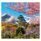 Papel De Parede Japonês Jardim Sakura Templo Sala Painel - 42