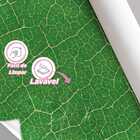 Papel De Parede Jardim Verde Textura Geométrica 9m