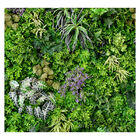 Papel De Parede Jardim Vertical Natureza Verde Sala Painel -