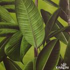 Papel De Parede Kantai Grace 4 - Folhagem Primavera