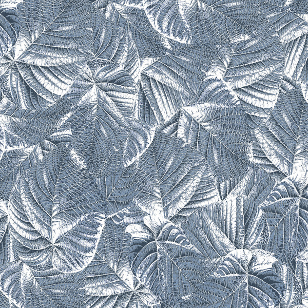 Papel De Parede Kantai Milan 2 - Folhas Cinza Azulado