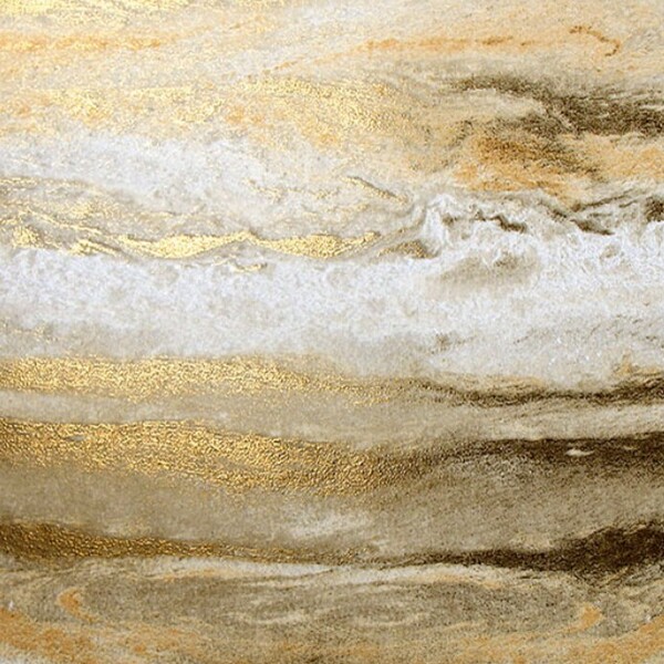 Papel De Parede Kantai White Swan - Mesclas Douradas Ws100802r