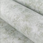 Papel De Parede Lavável 10,00 X 0,53 M (astratto Due)