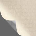 Papel De Parede Lavável 10,00 X 0,53 M (lucente Undici)