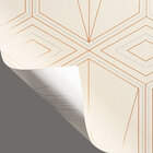 Papel De Parede Lavável 10,00 X 0,53 M (metallo Sette)