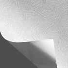 Papel De Parede Lavável 10,00 X 0,53 M (piacere Nove)